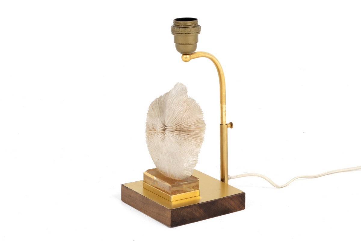 Lamp Fungia Fungites Coral And Gilt Brass, 1970’s - Ls382481-photo-4
