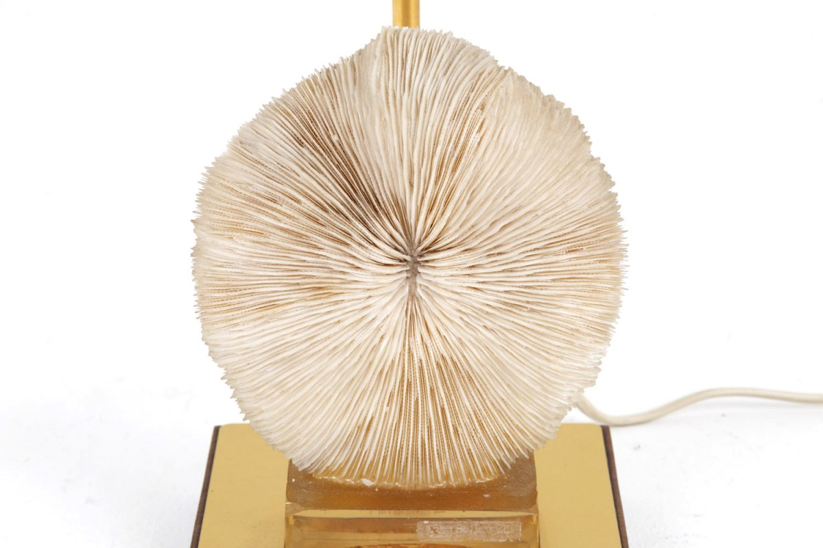 Lamp Fungia Fungites Coral And Gilt Brass, 1970’s - Ls382481-photo-6