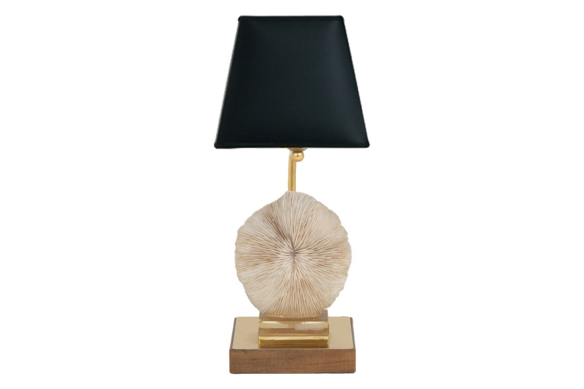 Lamp Fungia Fungites Coral And Gilt Brass, 1970’s - Ls382481