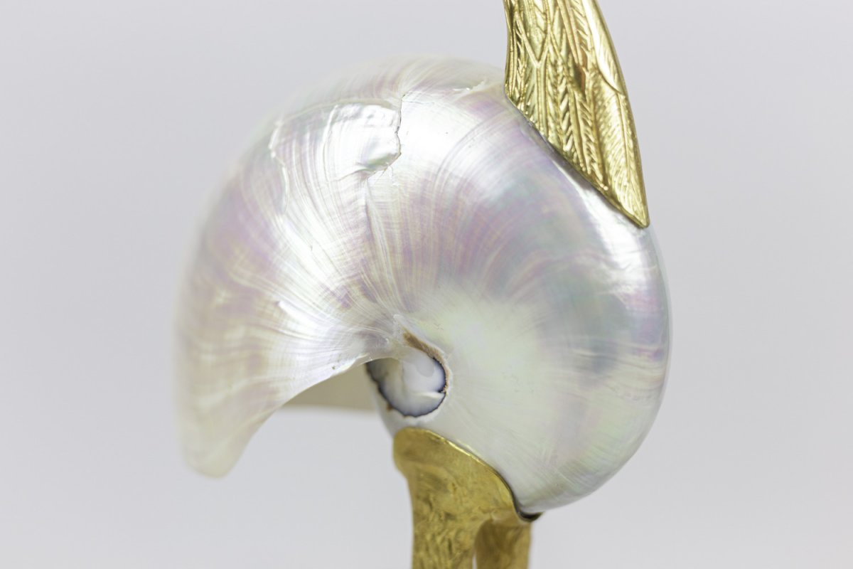 “bird” Sculpture In Natural Shell And Gilt Brass, 1970’s - Ls3108501-photo-3