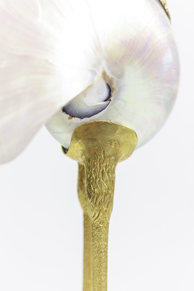 “bird” Sculpture In Natural Shell And Gilt Brass, 1970’s - Ls3108501-photo-6