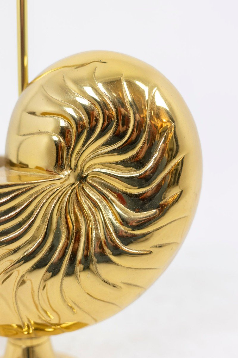 Nautilus Lamp In Gilded Bronze, 1970s, Ls4768416-photo-3