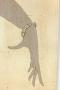 1144493-alb-647dab48cacae.jpg