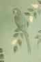 1768690-alb-6a199956966bc.jpg