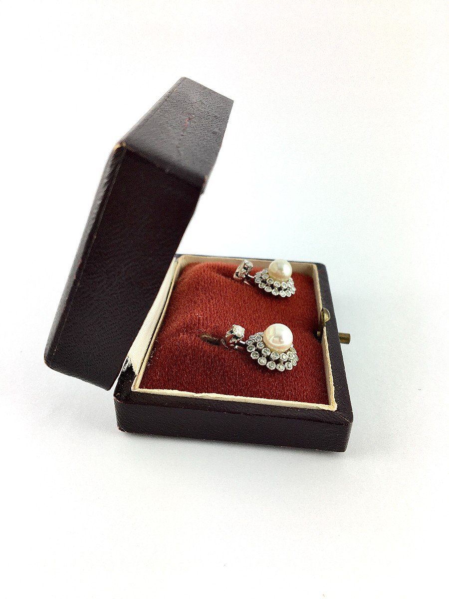 Japanese Akoya Cultured Pearl Flower Sleeper Earrings Diamonds / White Gold Box-photo-4