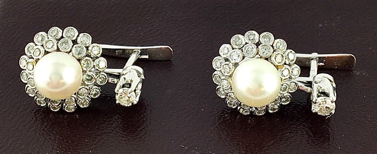 Japanese Akoya Cultured Pearl Flower Sleeper Earrings Diamonds / White Gold Box-photo-2