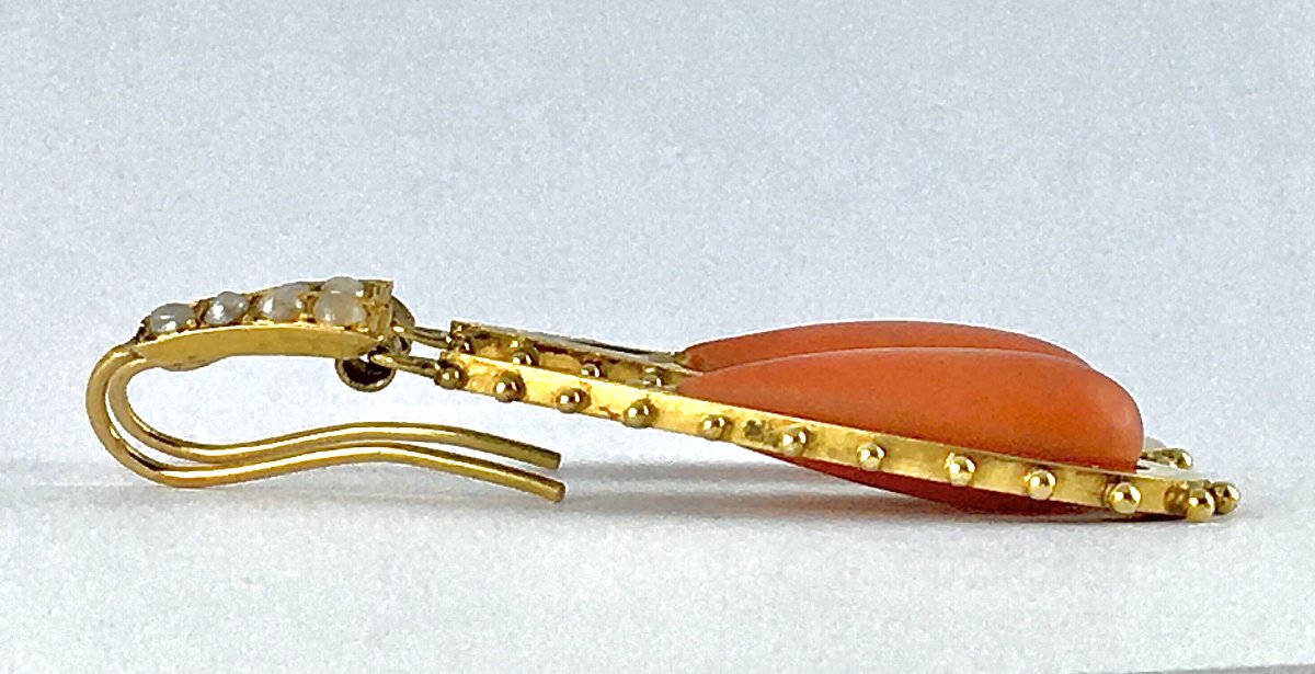 Napoleon III (napoleon 3) Yellow Gold Coral Drop Sleeper Dangle Earrings-photo-1