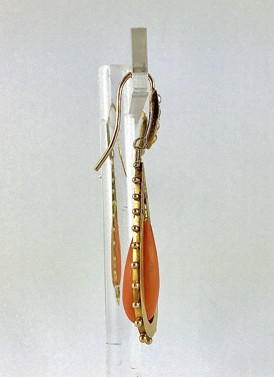 Napoleon III (napoleon 3) Yellow Gold Coral Drop Sleeper Dangle Earrings-photo-6