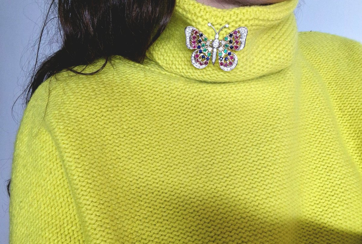 Broche Pendentif Trembleuse Papillon Diamants, Saphirs, Rubis et Emeraudes / Ors Jaune & Blanc-photo-7