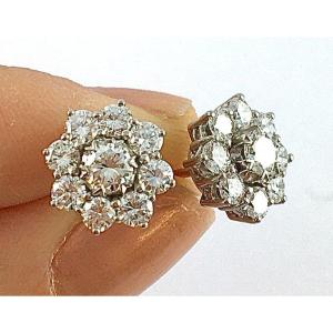 Daisy Diamond Earrings Surrounding Brilliant Cut Diamonds In White Gold