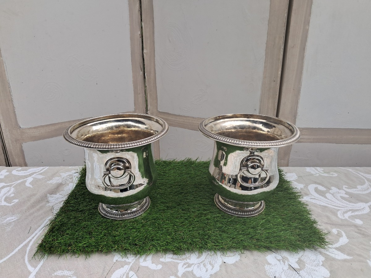 Pair Of Cooling Buckets, Early 19th Century-photo-2
