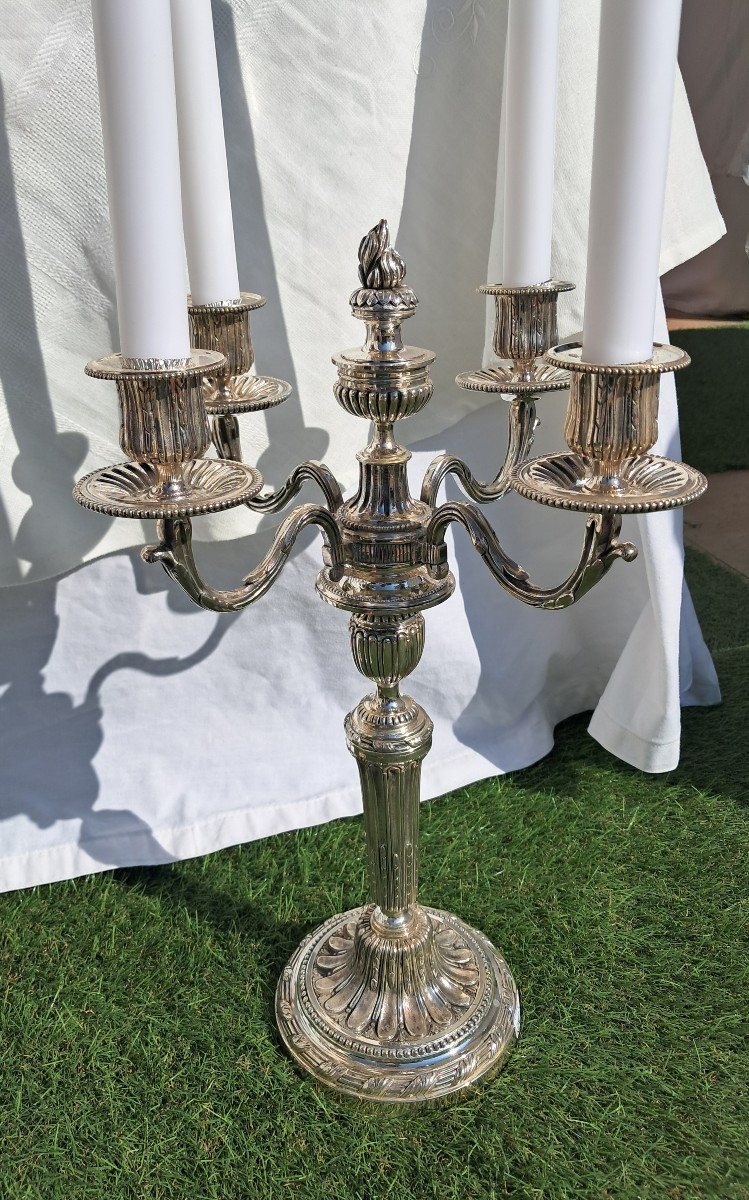 Candelabres d'esprit Louis XVI  4 branches-photo-4