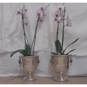 Pair Of Cooling Buckets