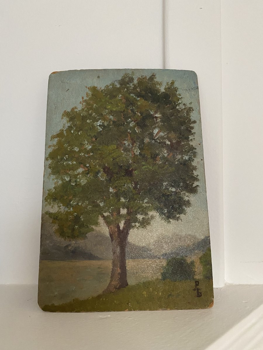 Huile Sur Carton. Paysage Arbre. Signé-photo-3