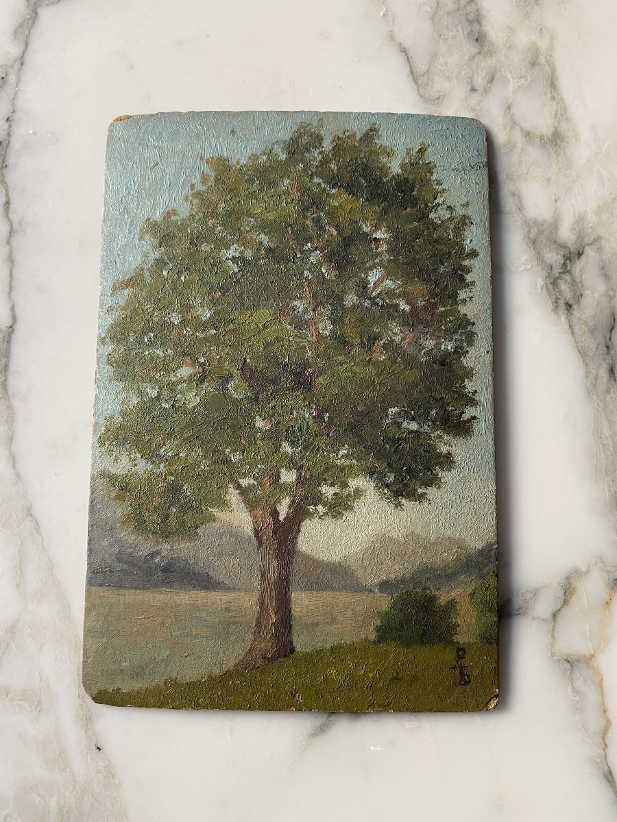 Huile Sur Carton. Paysage Arbre. Signé