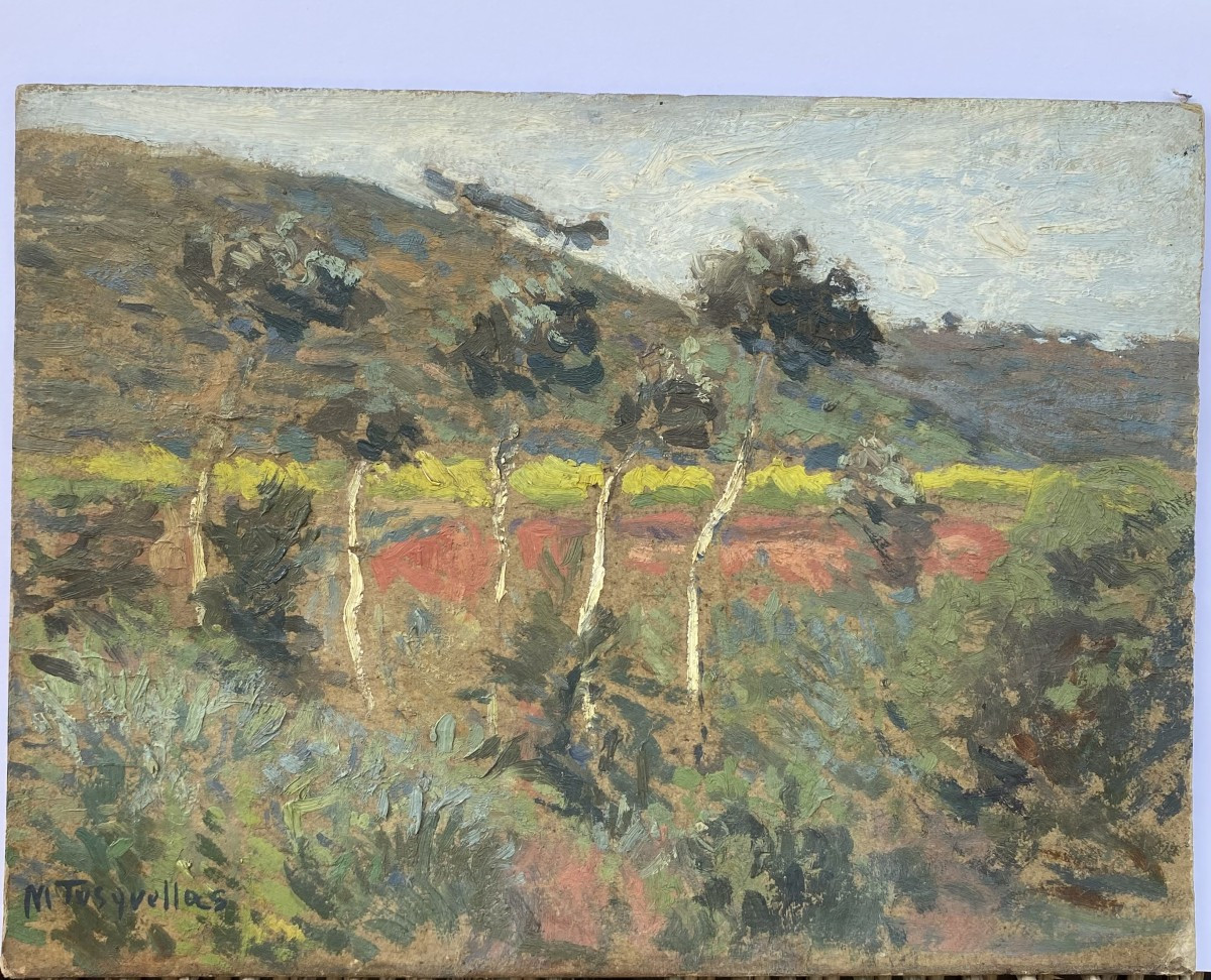 Paysage catalan. Huile sur carton.  Miguel Tusquellas Corbella. 