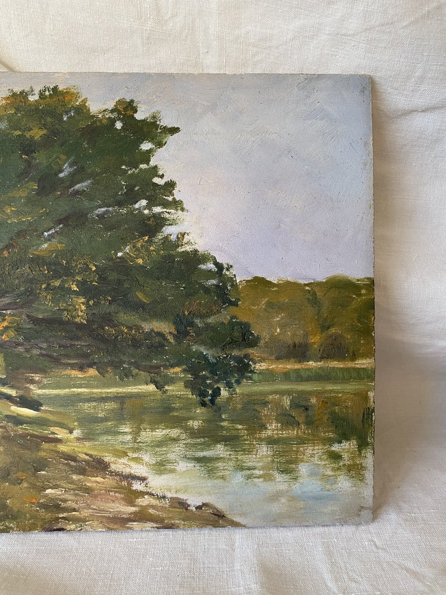 The Large Tree By The Water. Oil On Wood. -photo-4