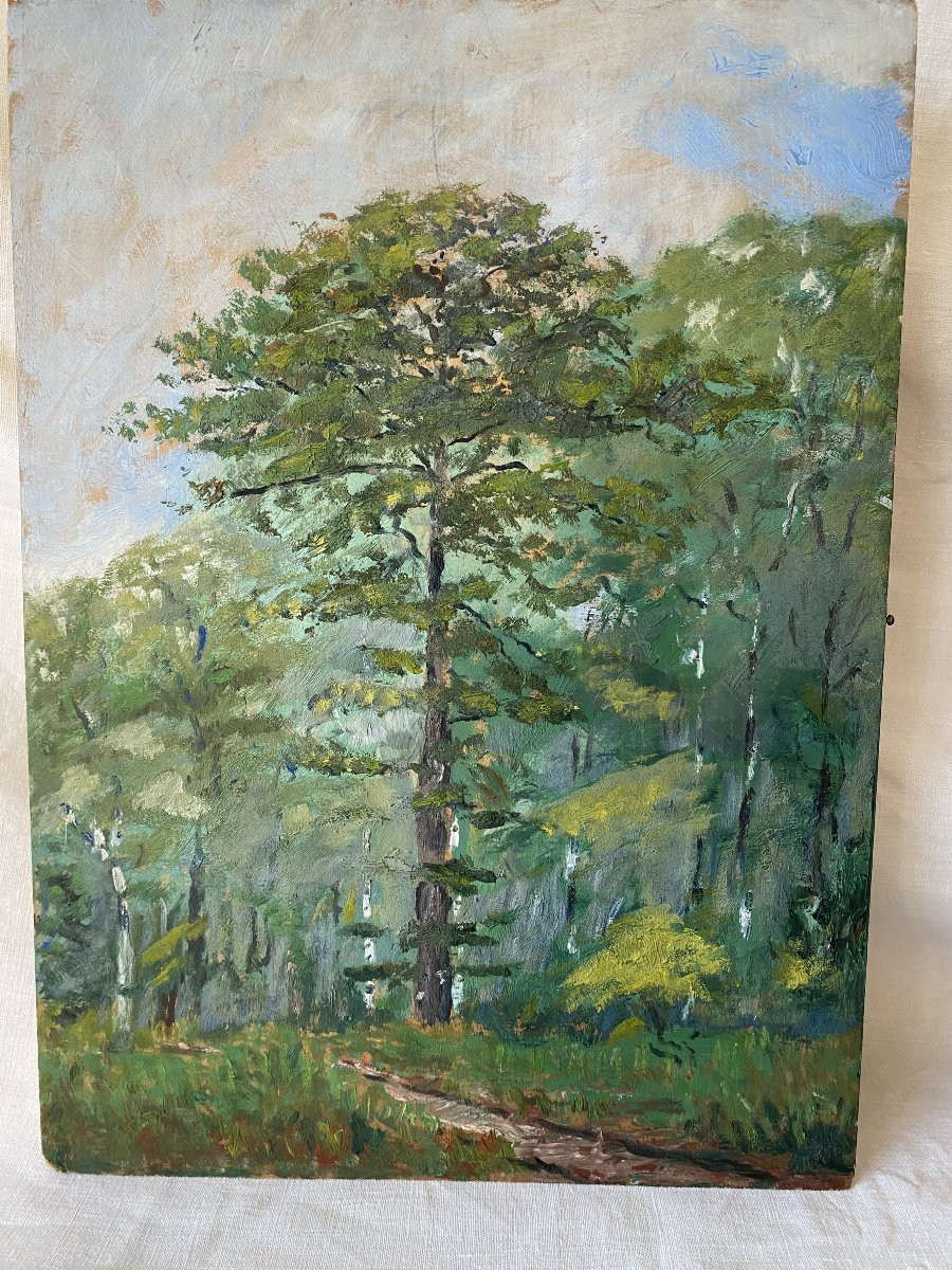 The Great Tree. Oil On Wood. -photo-2