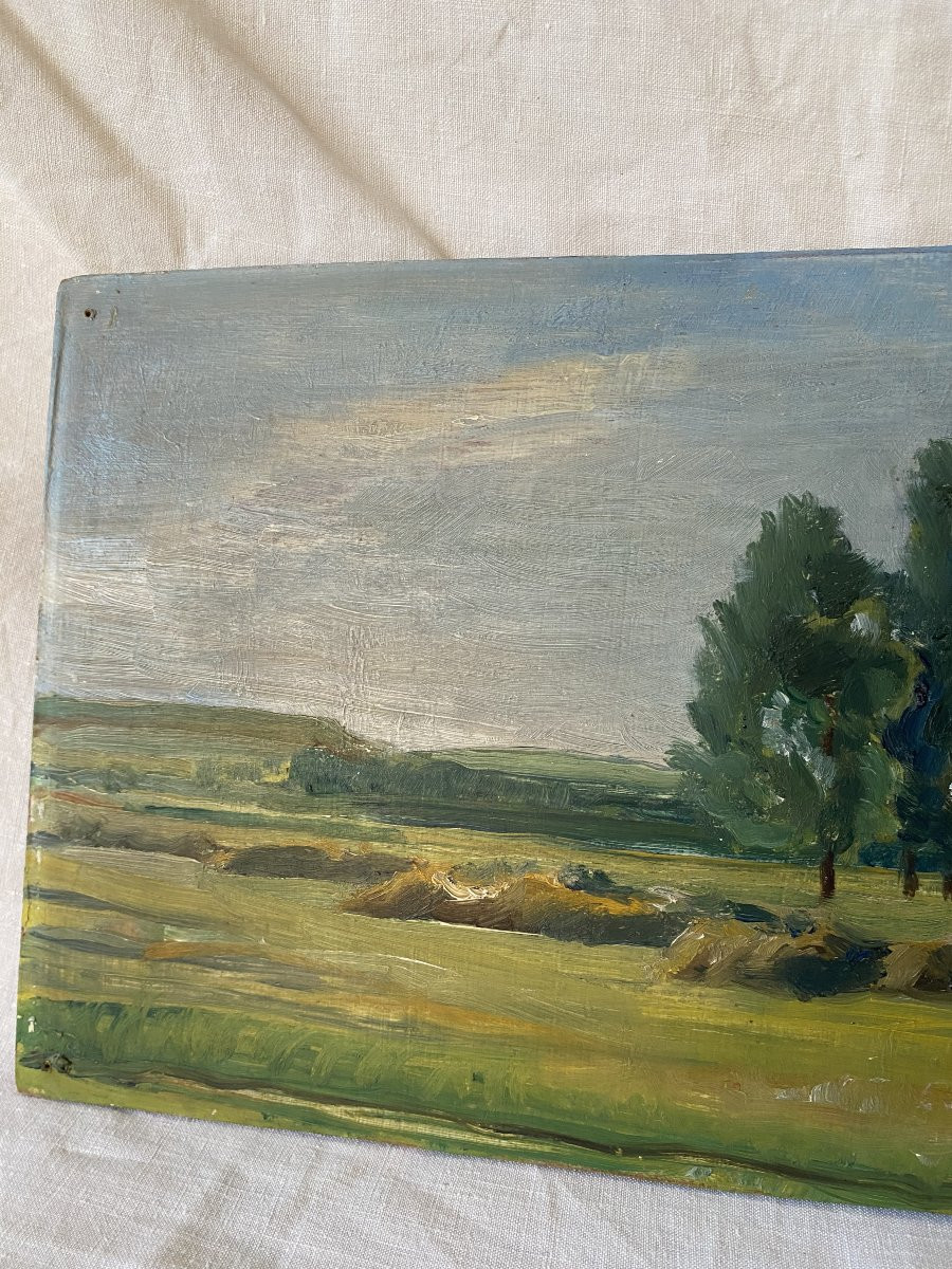 The Great Prairie. Oil On Wood. 20th Century.-photo-3