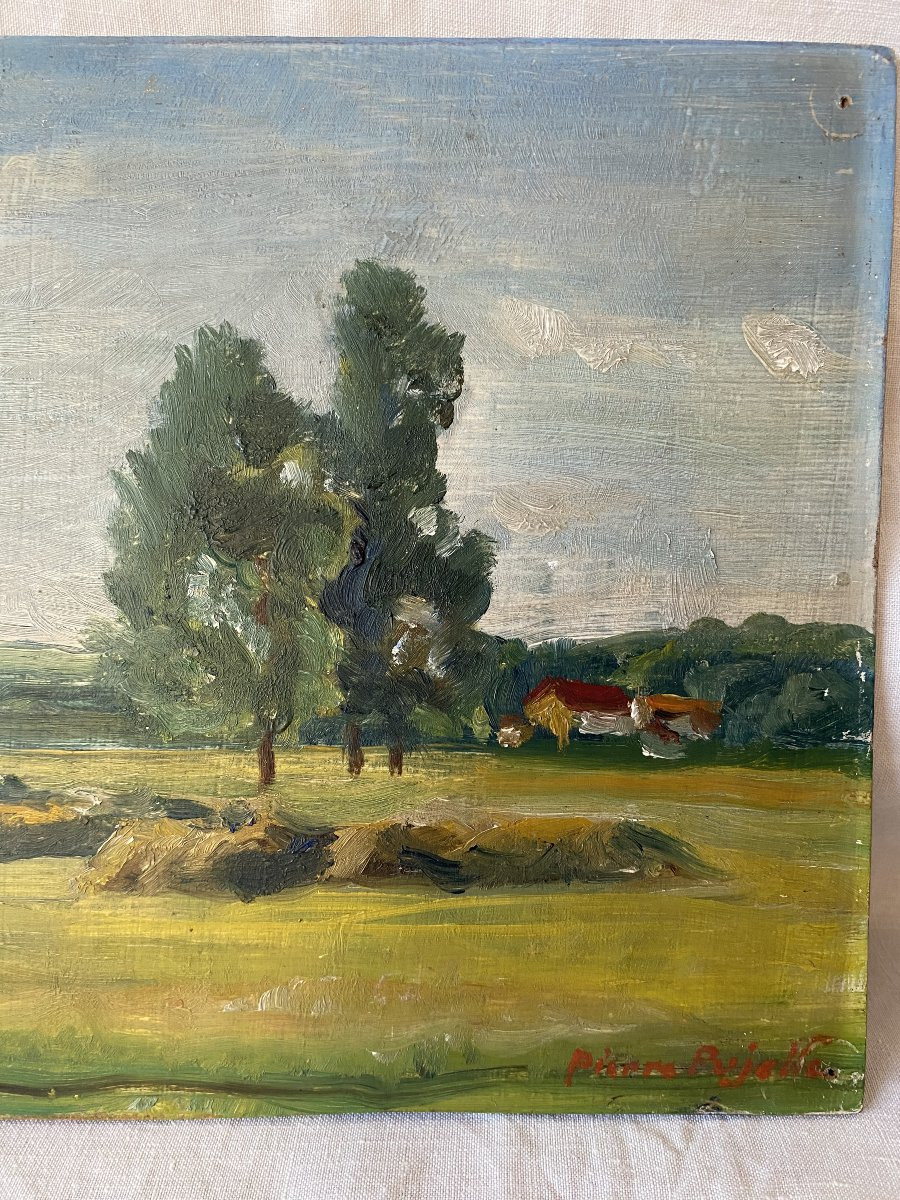 The Great Prairie. Oil On Wood. 20th Century.-photo-4