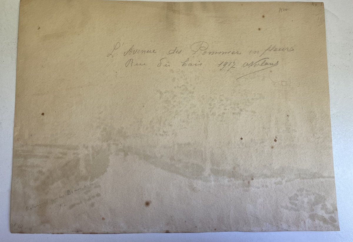 Apple Trees In Bloom. Watercolor By Octave Volant. 1917.-photo-2