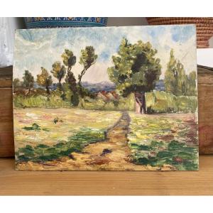 La campagne l'été. Huile sur carton. XXe siècle