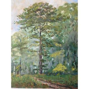 The Great Tree. Oil On Wood. 