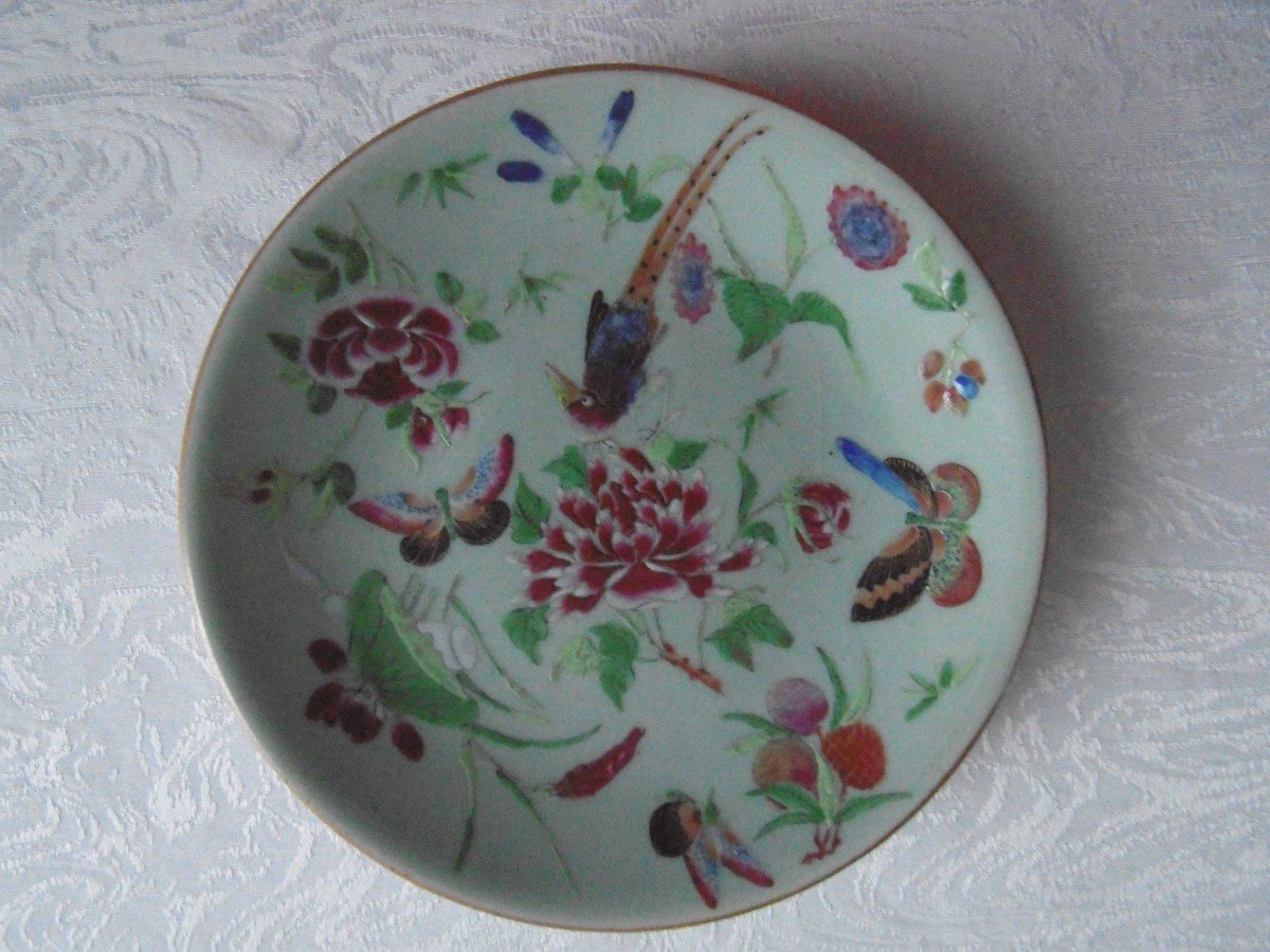 Assiette En Porcelaine Céladon Chine XIXe