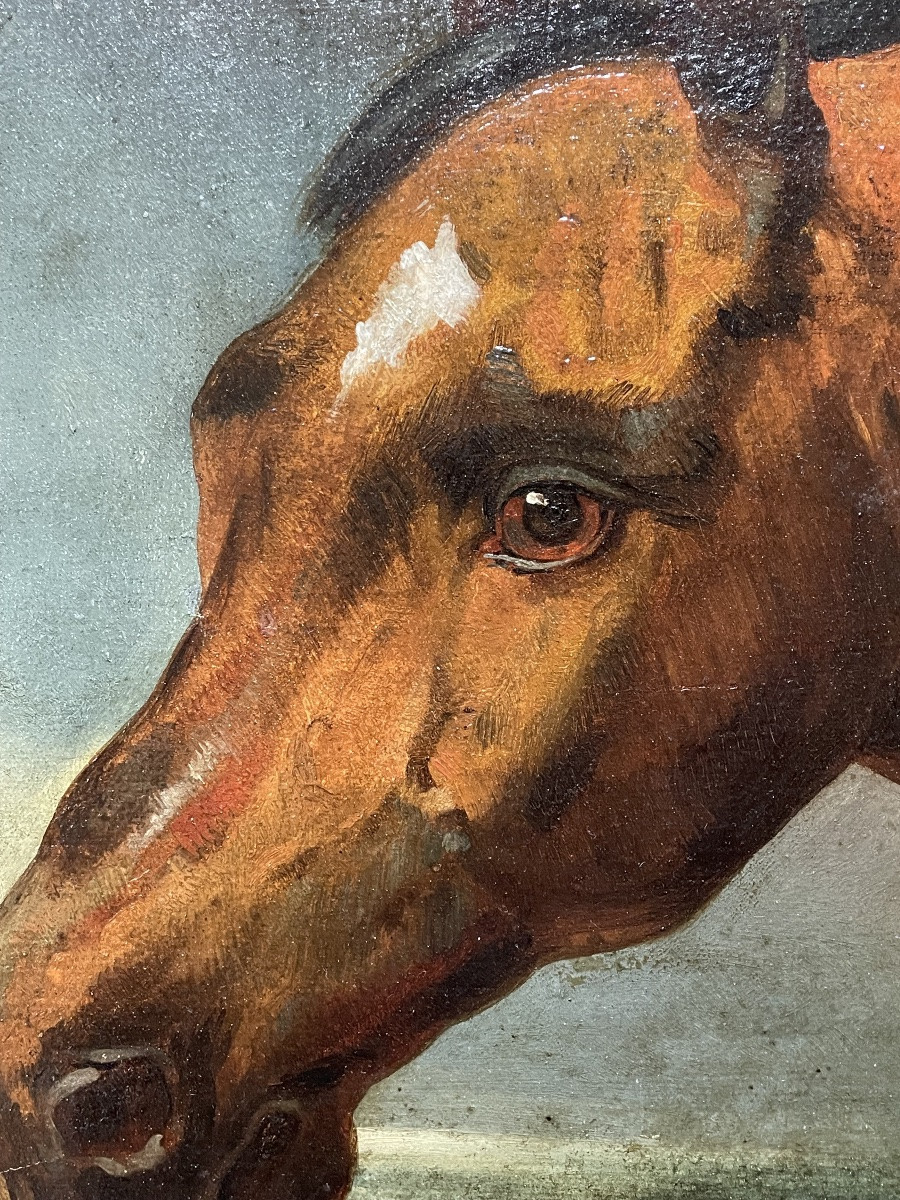 Nicolas Sverchkov (1817-1888) Great Russian Painter - Horse's Head - Circa 1860/1870-photo-2