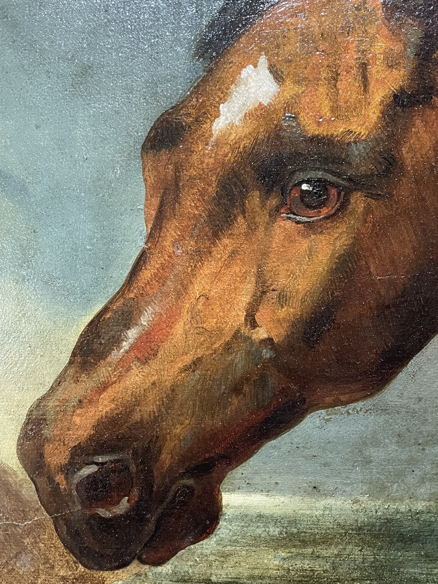 Nicolas Sverchkov (1817-1888) Great Russian Painter - Horse's Head - Circa 1860/1870-photo-3