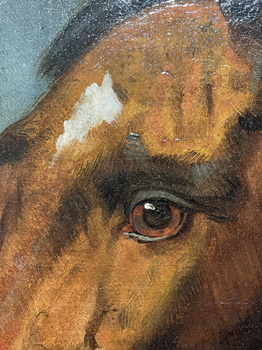 Nicolas Sverchkov (1817-1888) Great Russian Painter - Horse's Head - Circa 1860/1870-photo-4