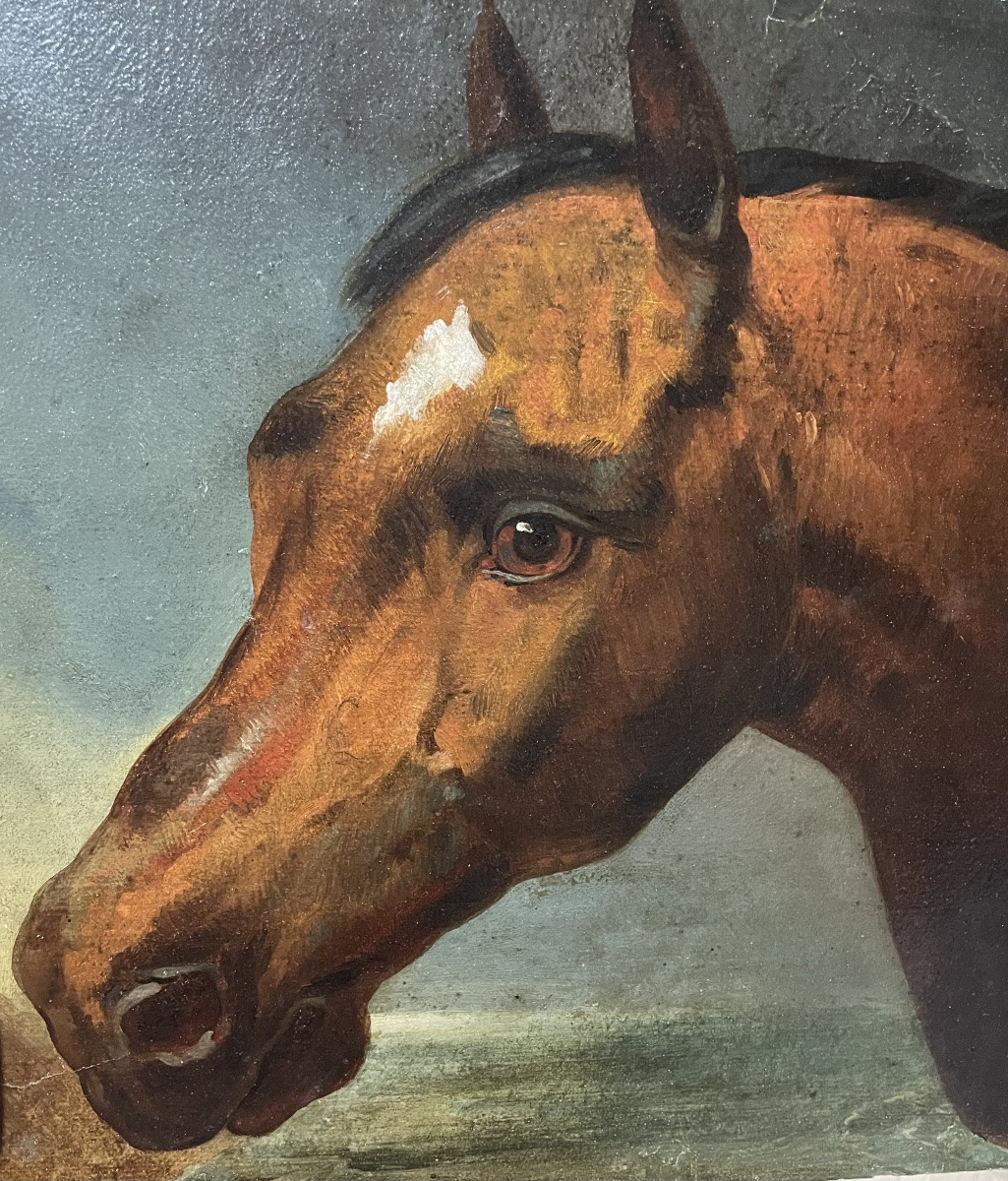 Nicolas Sverchkov (1817-1888) Great Russian Painter - Horse's Head - Circa 1860/1870-photo-2