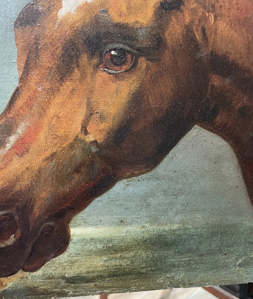 Nicolas Sverchkov (1817-1888) Great Russian Painter - Horse's Head - Circa 1860/1870-photo-3