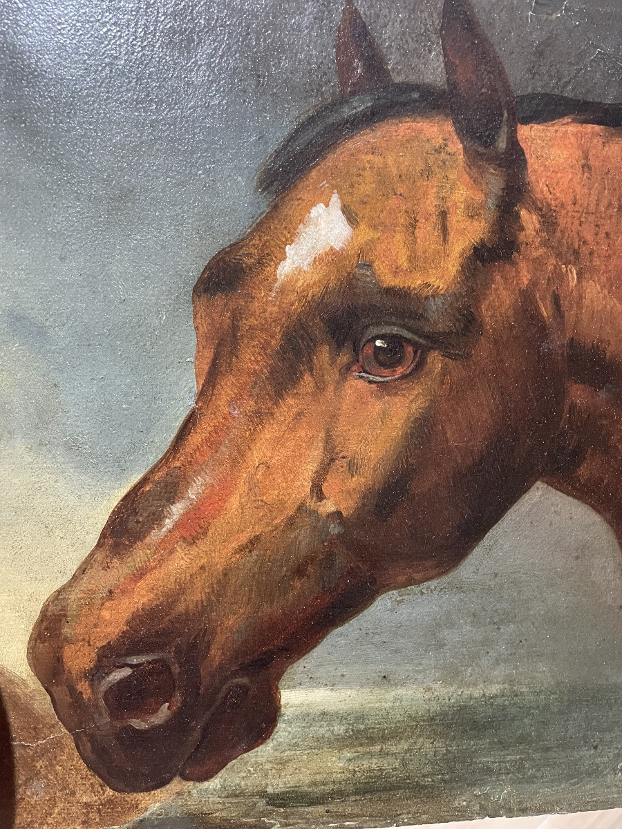 Nicolas Sverchkov (1817-1888) Great Russian Painter - Horse's Head - Circa 1860/1870-photo-4