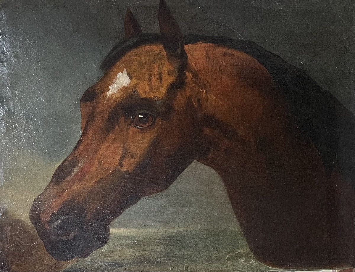 Nicolas Sverchkov (1817-1888) Great Russian Painter - Horse's Head - Circa 1860/1870-photo-6