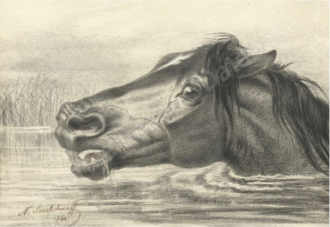 Nicolas Sverchkov (1817-1888) Great Russian Painter - Horse's Head - Circa 1860/1870-photo-7