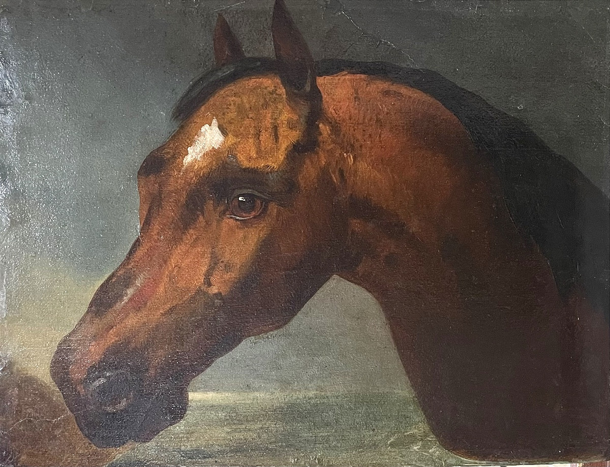 Nicolas Sverchkov (1817-1888) Great Russian Painter - Horse's Head - Circa 1860/1870
