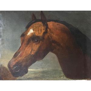 Nicolas Sverchkov (1817-1888) Great Russian Painter - Horse's Head - Circa 1860/1870