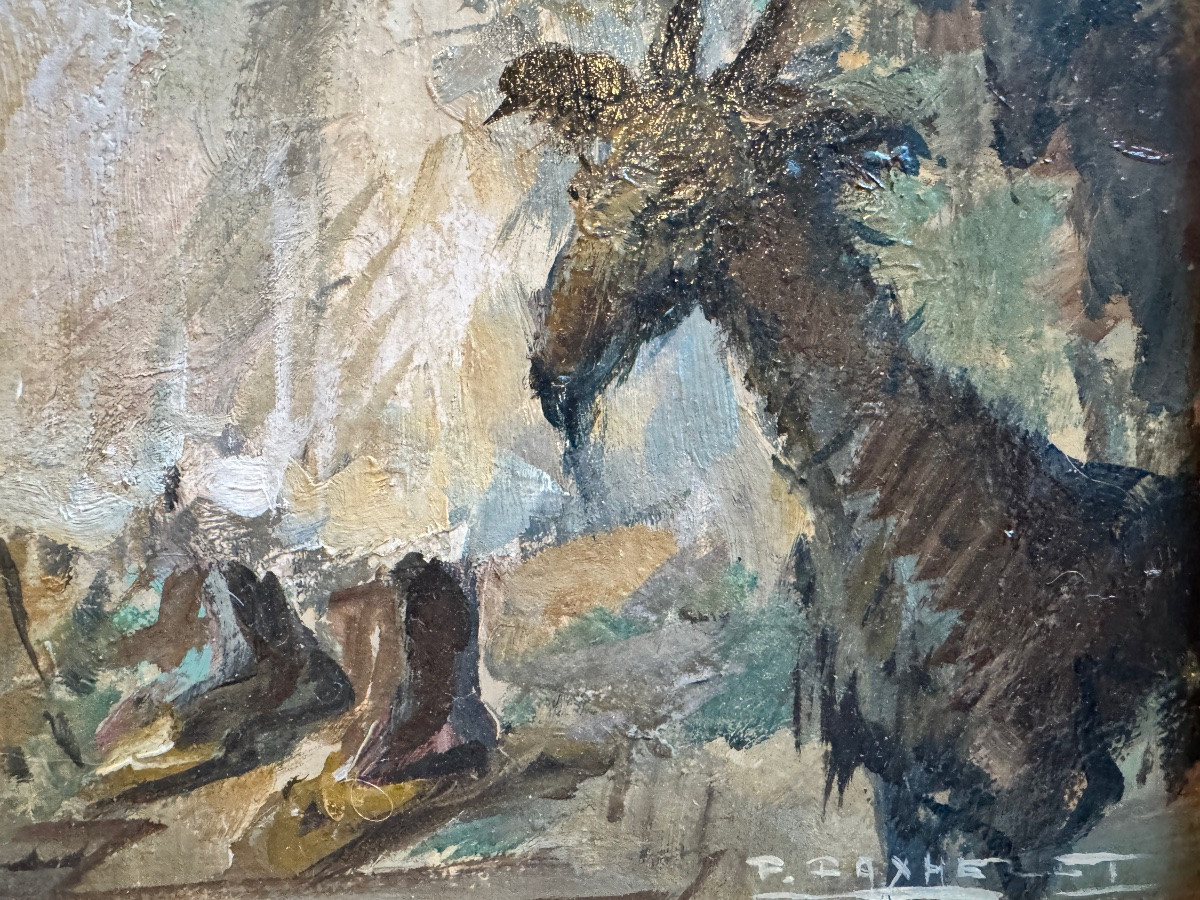 Paul Daxhelet “oriental Market” Orientalist Painting 31x41 Cm-photo-4