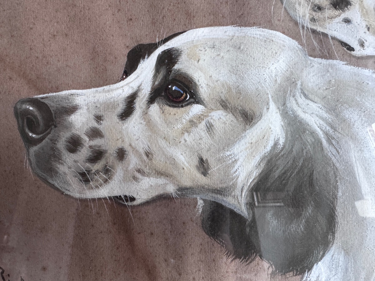 Boris Riab (riabouchinsky), “2 English Setters,” Oil Or Gouache On Paper. -photo-3