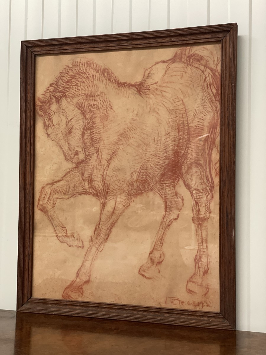 Van Petegem Horse Drawing-photo-2