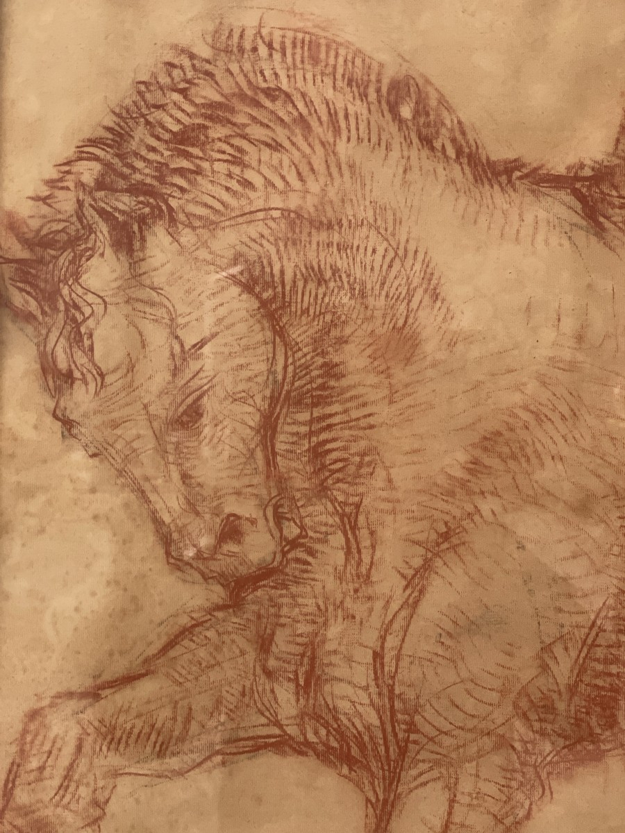 Van Petegem Horse Drawing-photo-3