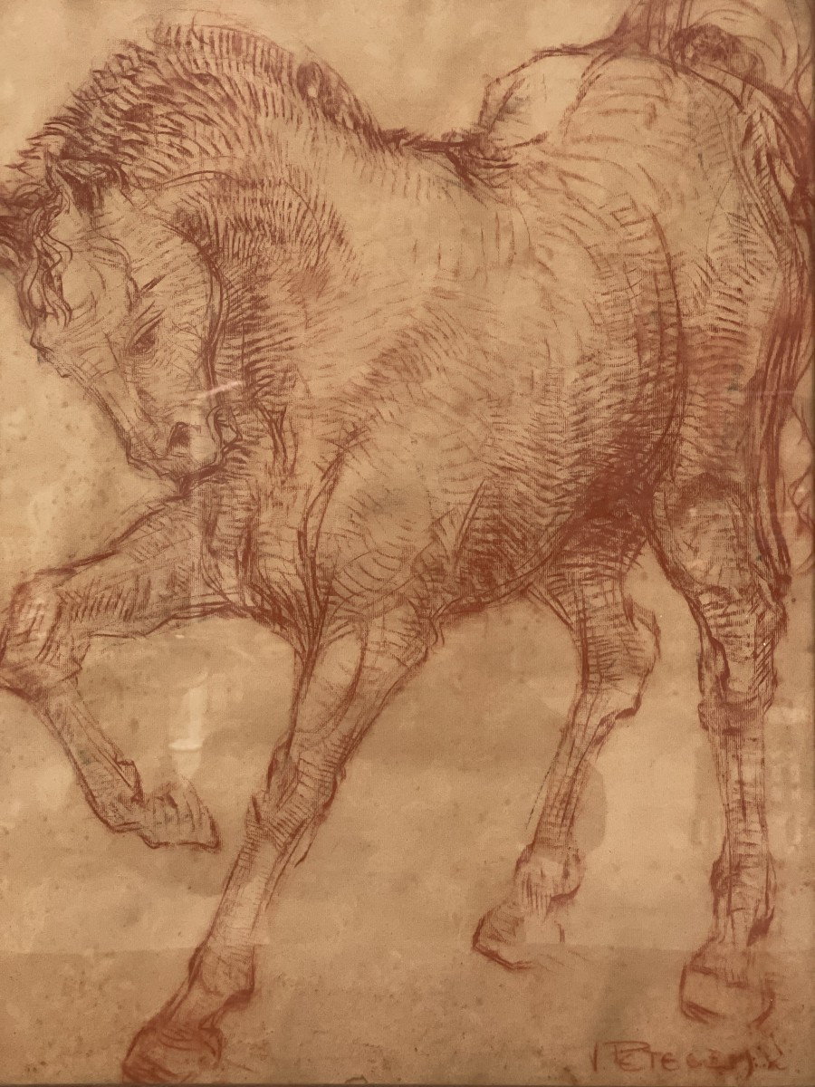 Van Petegem Horse Drawing-photo-1