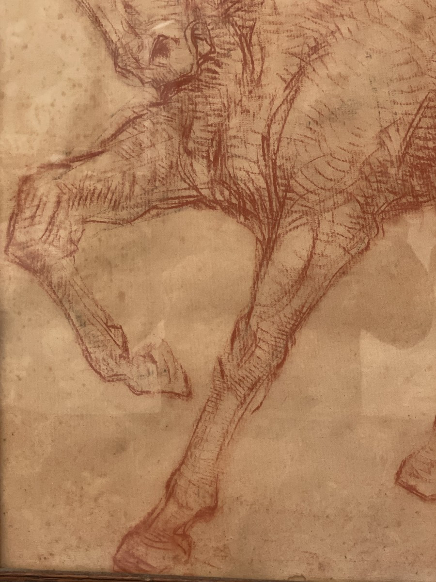 Van Petegem Horse Drawing-photo-4