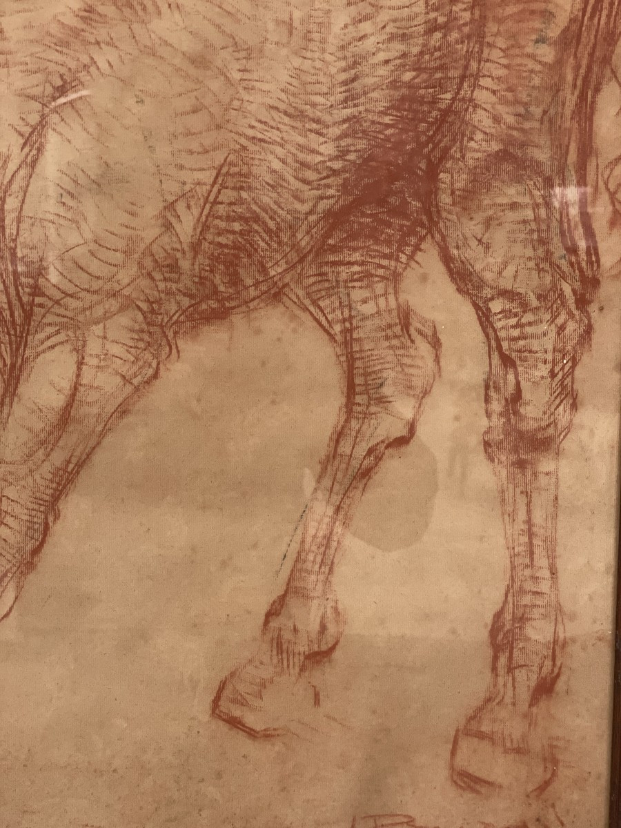 Van Petegem Horse Drawing-photo-6