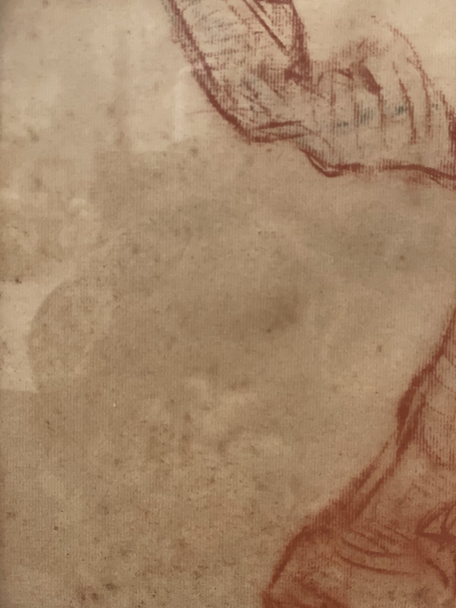 Van Petegem Horse Drawing-photo-7