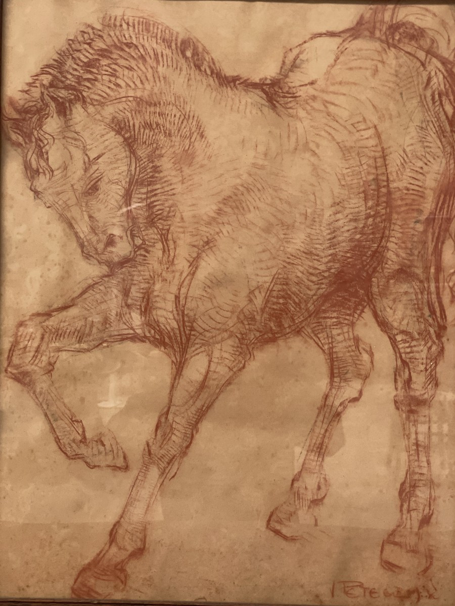 Van Petegem Horse Drawing
