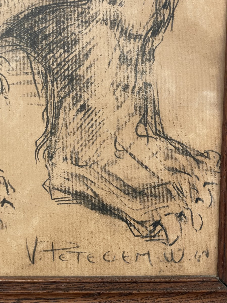 Van Petegem Dessin d'un ours polaire-photo-4