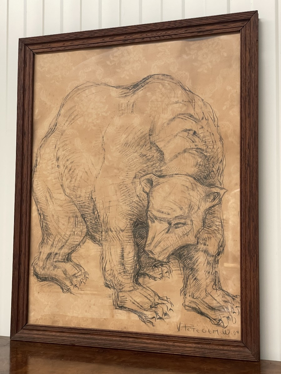 Van Petegem Dessin d'un ours polaire-photo-1