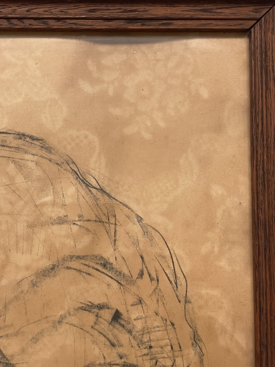 Van Petegem Dessin d'un ours polaire-photo-4